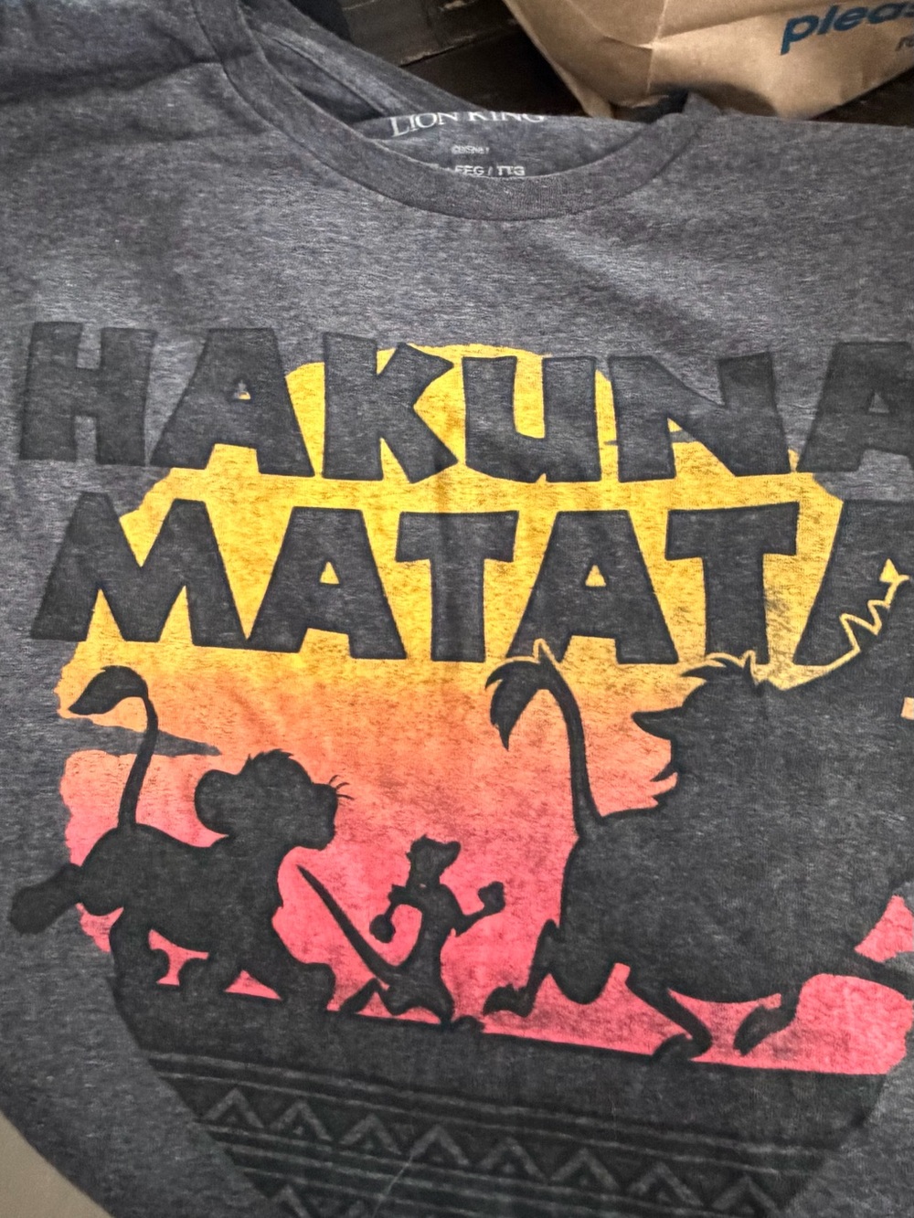 Disney Lion King Hakuna Matata Tee - Gray with Yellow & Pink Sunset